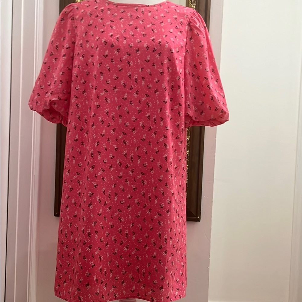 Ann Taylor Women’s Floral Pink Dress L